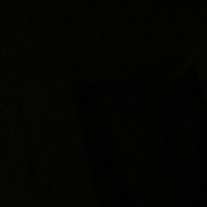 Meet your Posher, Lou